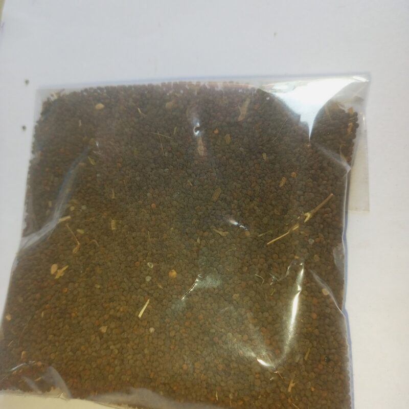 நாய் கடுகு