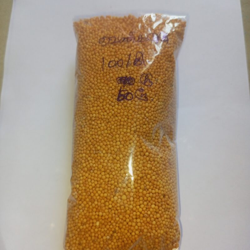 வெண் கடுகு