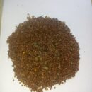 மருதாணி விதை