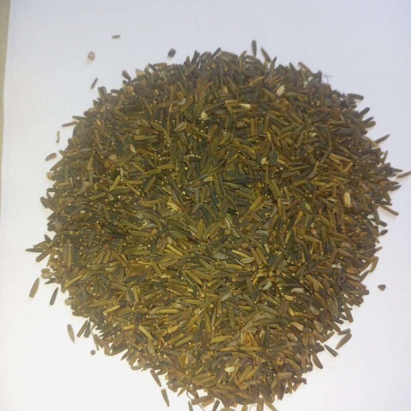 காட்டு சீரகம்