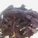 வேம்பாளம் பட்டை